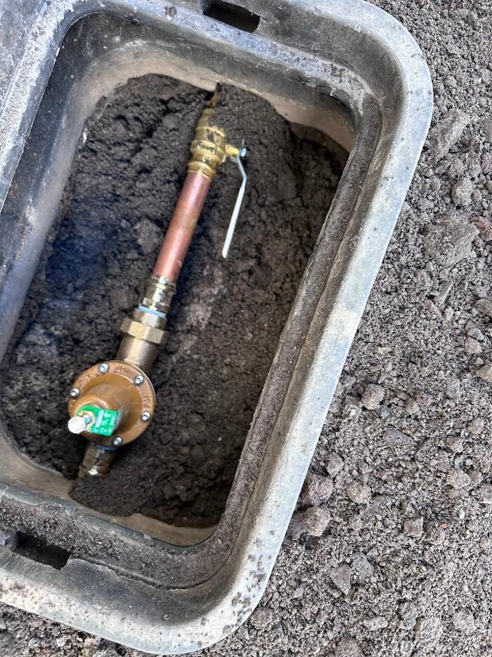 Images Rooter Man Hawaii