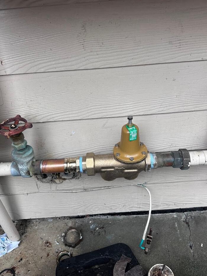 Images Rooter Man Hawaii