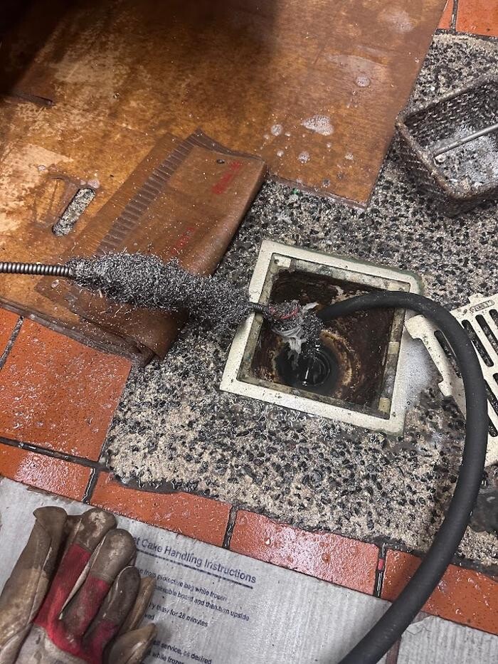 Images Rooter Man Hawaii