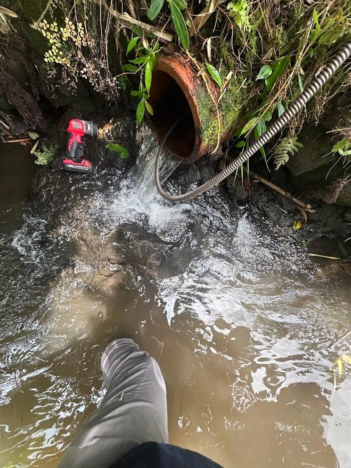Images Rooter Man Hawaii