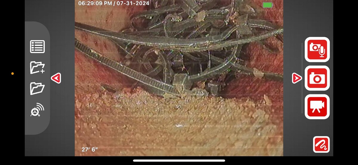 Images Rooter Man Hawaii