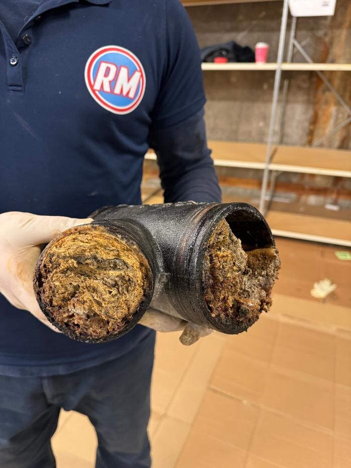 Images Rooter Man Hawaii