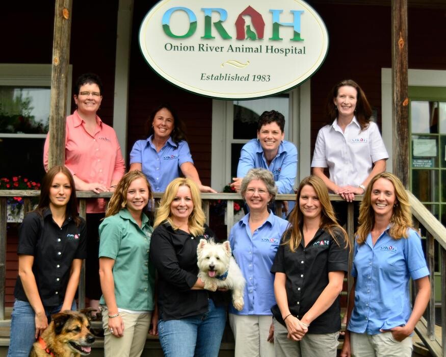 Images Onion River Animal Hospital
