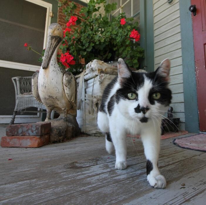 Images Onion River Animal Hospital