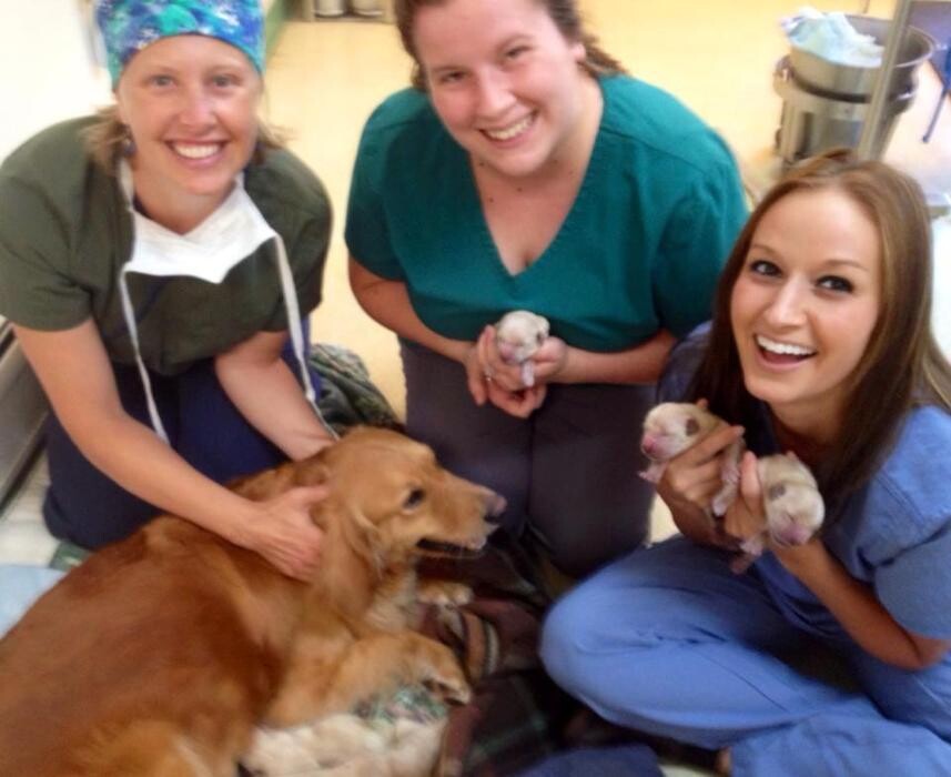 Images Onion River Animal Hospital