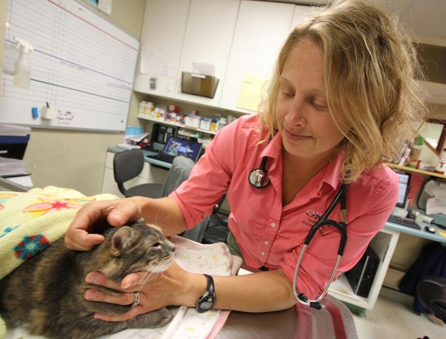 Images Onion River Animal Hospital