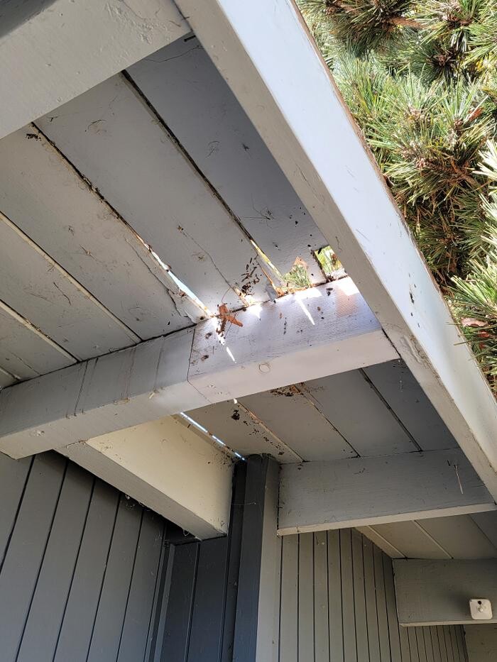 Images EC Renewables Inc