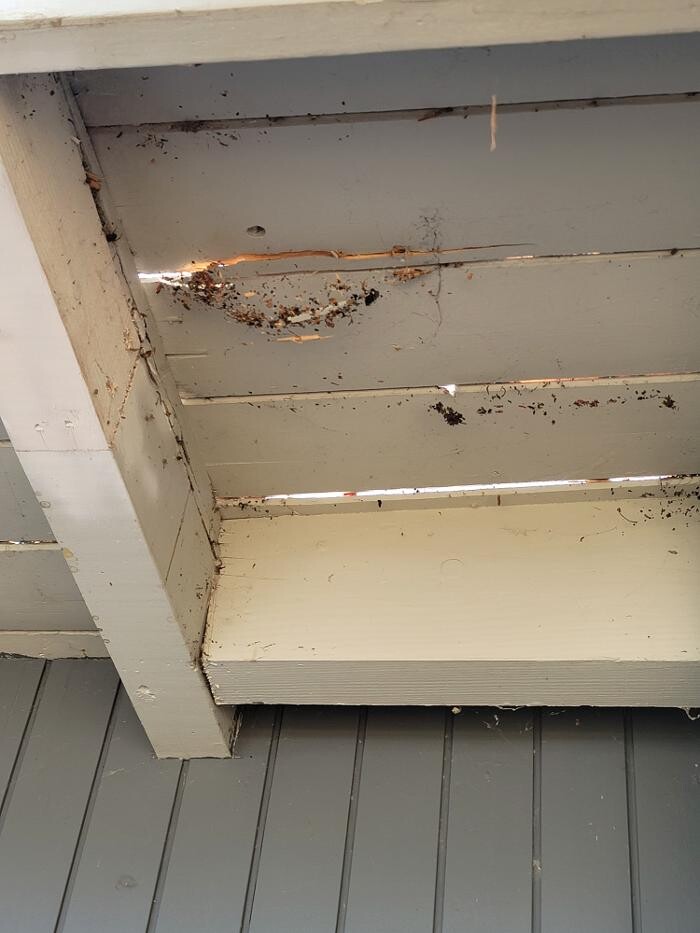 Images EC Renewables Inc