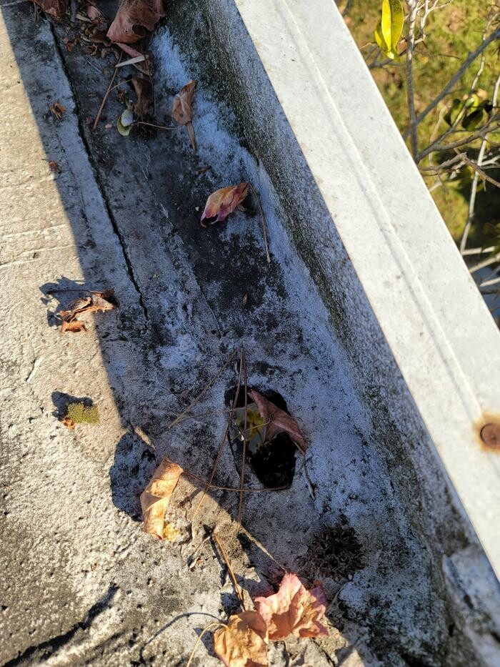 Images EC Renewables Inc