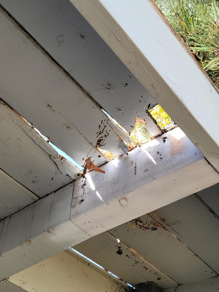 Images EC Renewables Inc