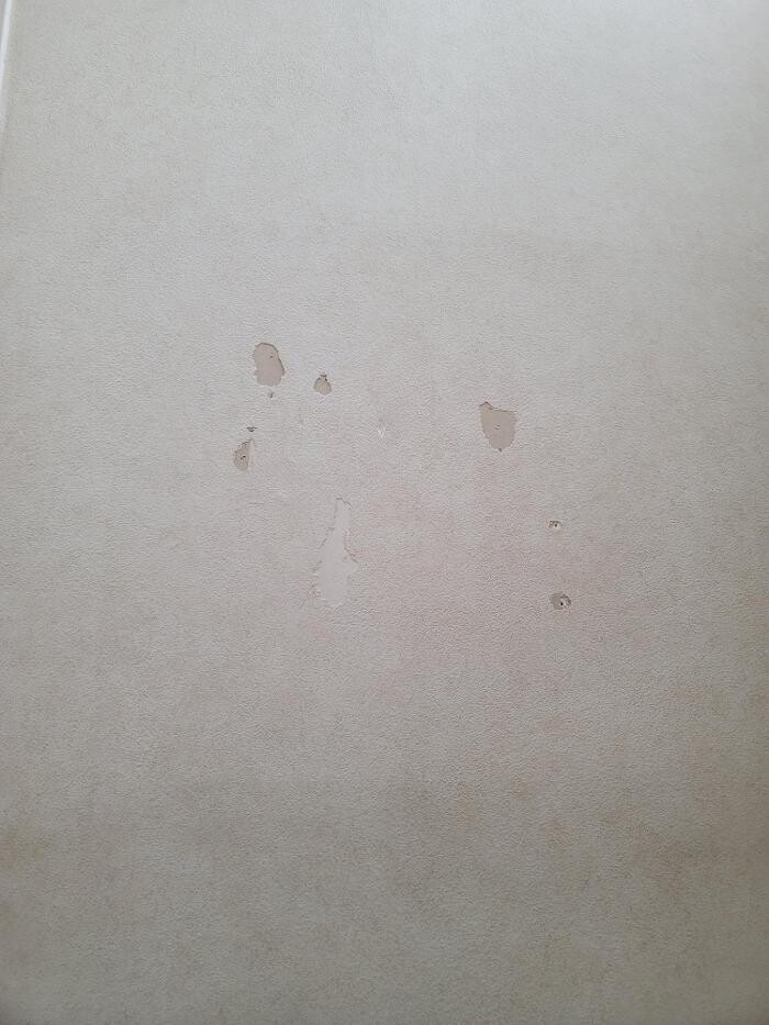 Images EC Renewables Inc