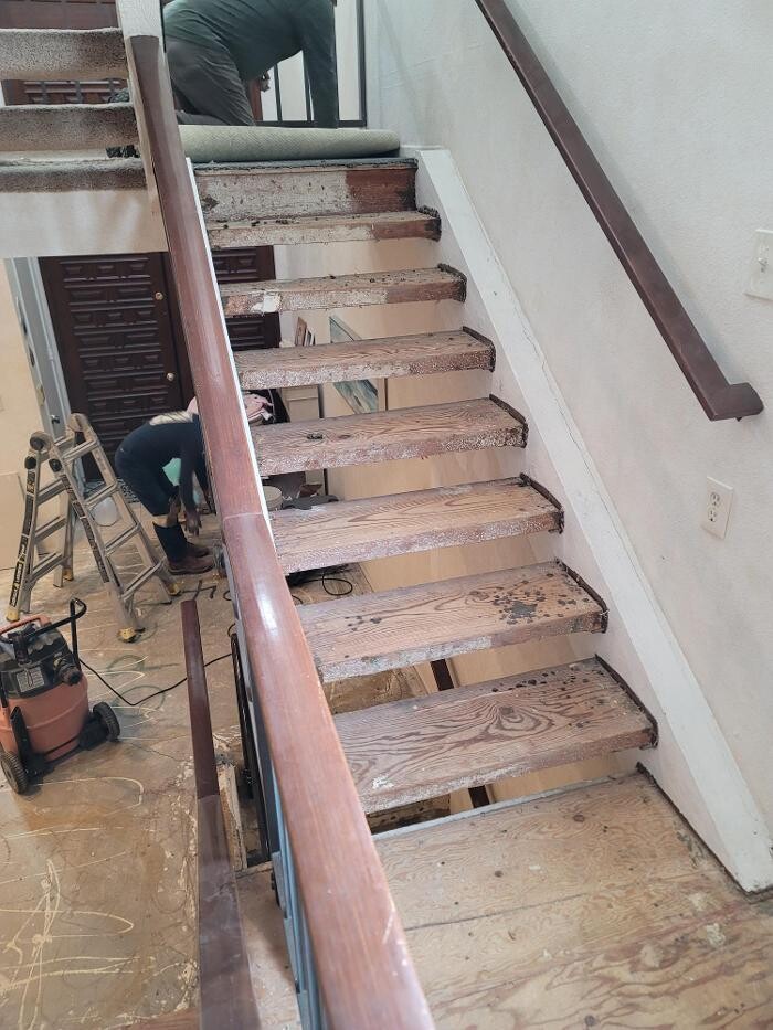 Images EC Renewables Inc