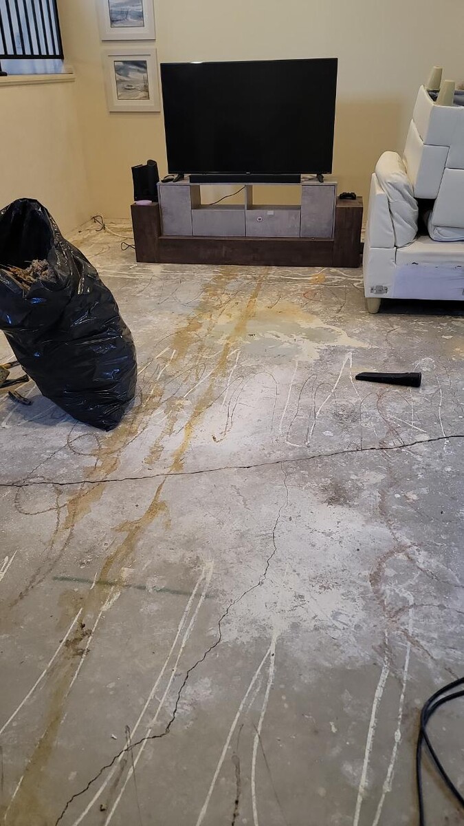 Images EC Renewables Inc