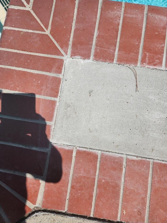 Images EC Renewables Inc