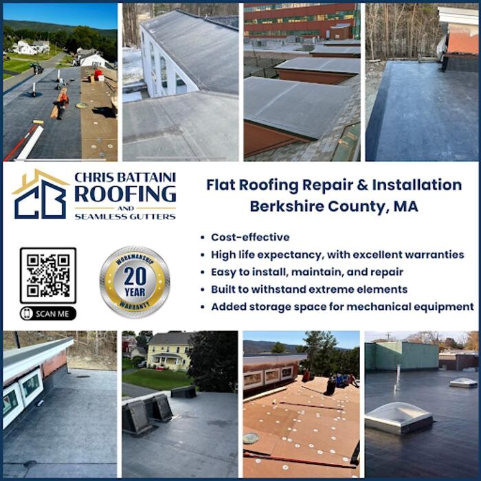 Images Chris Battaini Roofing & Seamless Gutters