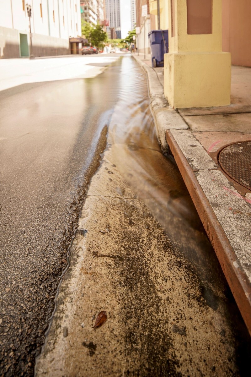 Images Palm Plumbing and Drain LLC