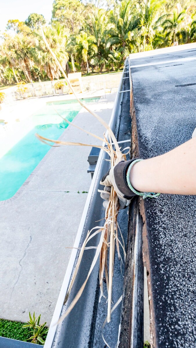 Images Palm Plumbing and Drain LLC