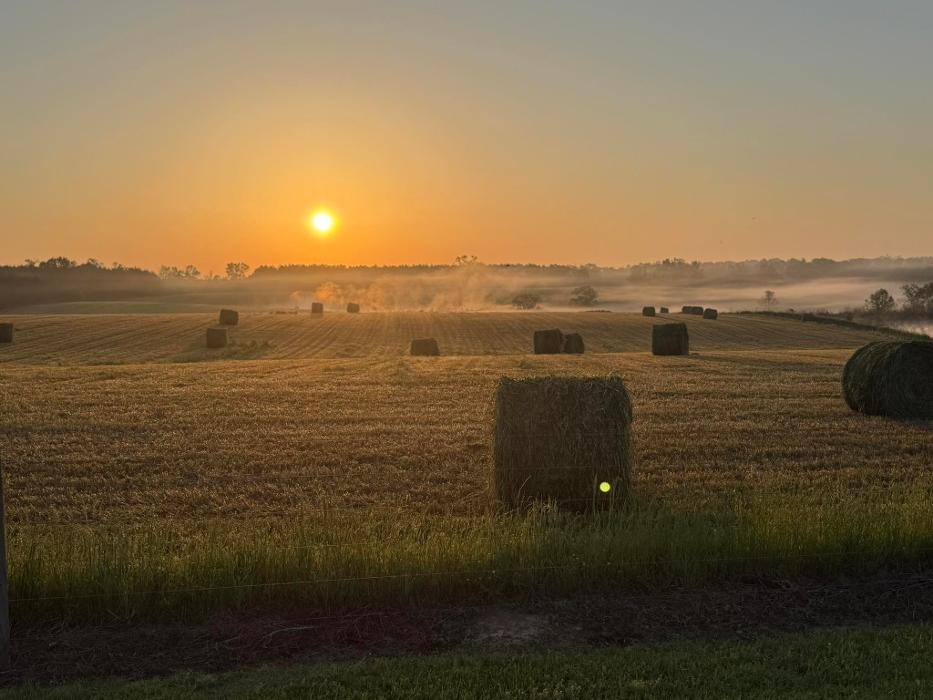 Images Black Jack Ranch