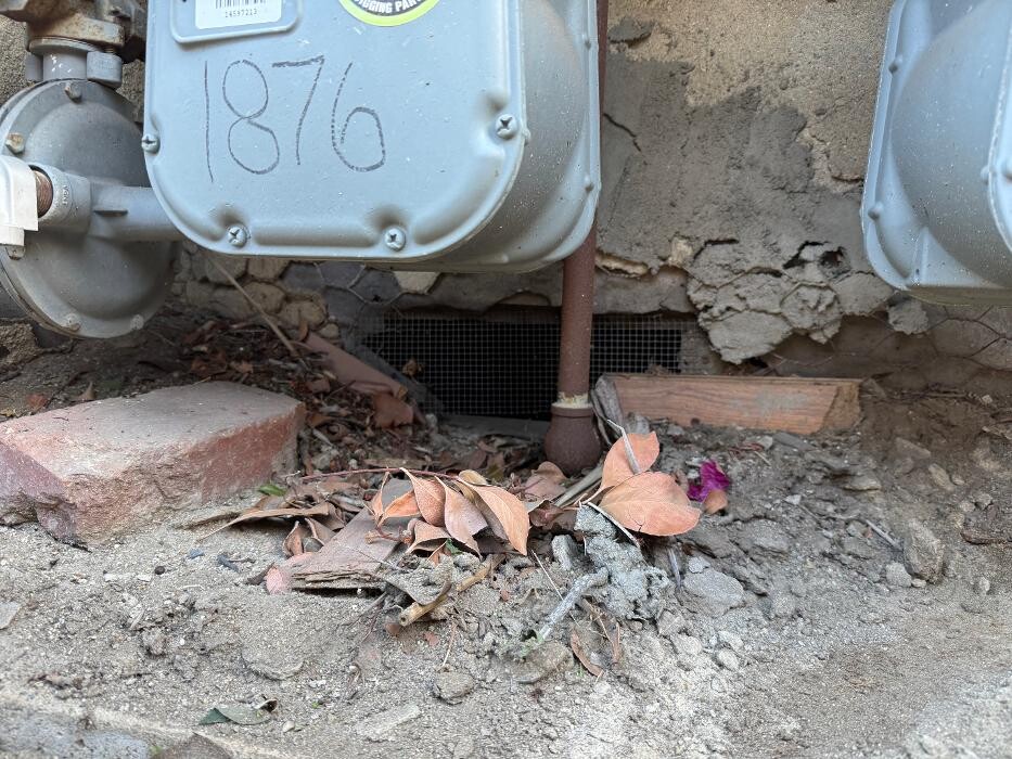 Images Protex Pest and Termite Treatments