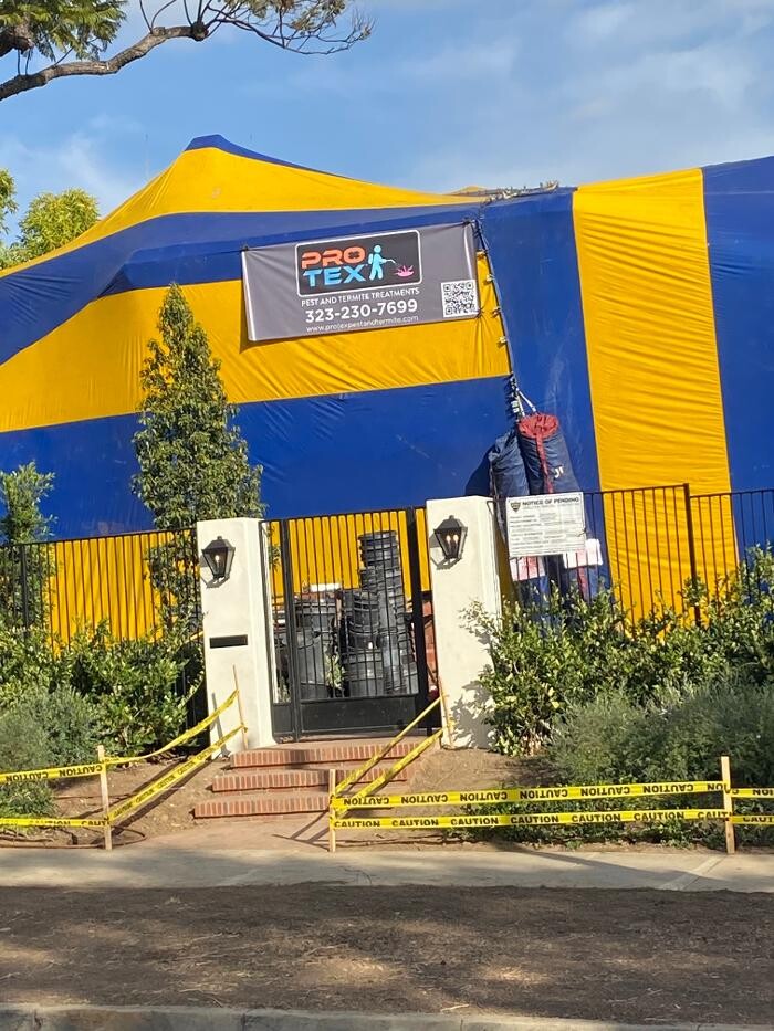 Images Protex Pest and Termite Treatments