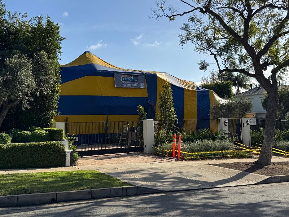 Images Protex Pest and Termite Treatments