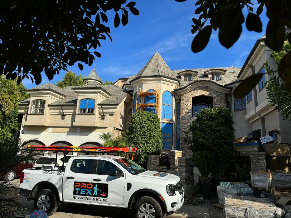 Images Protex Pest and Termite Treatments