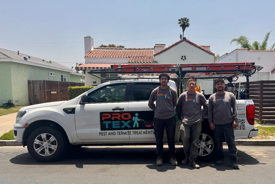 Images Protex Pest and Termite Treatments