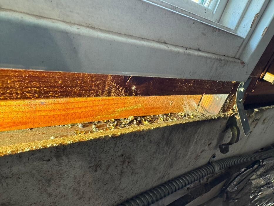 Images Protex Pest and Termite Treatments