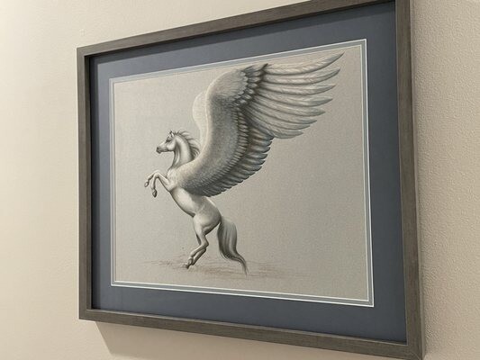 Images Framing Establishment