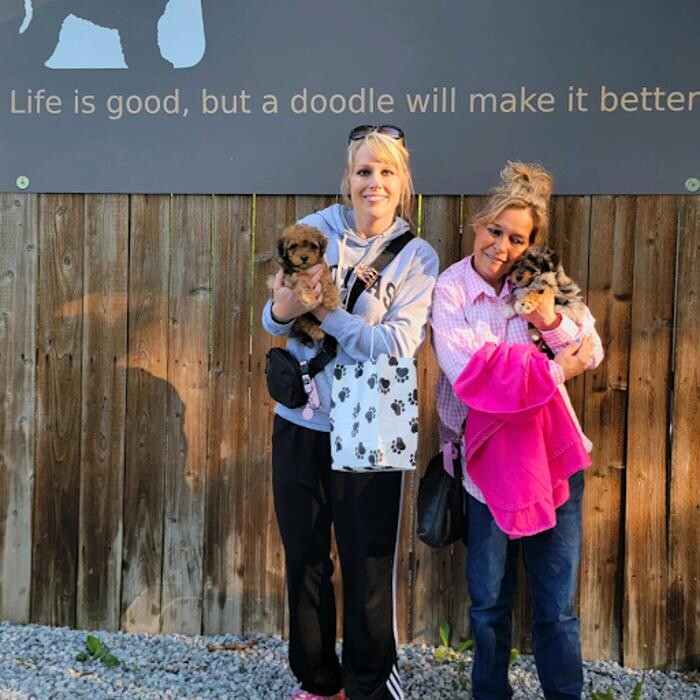 Images The Puppy House