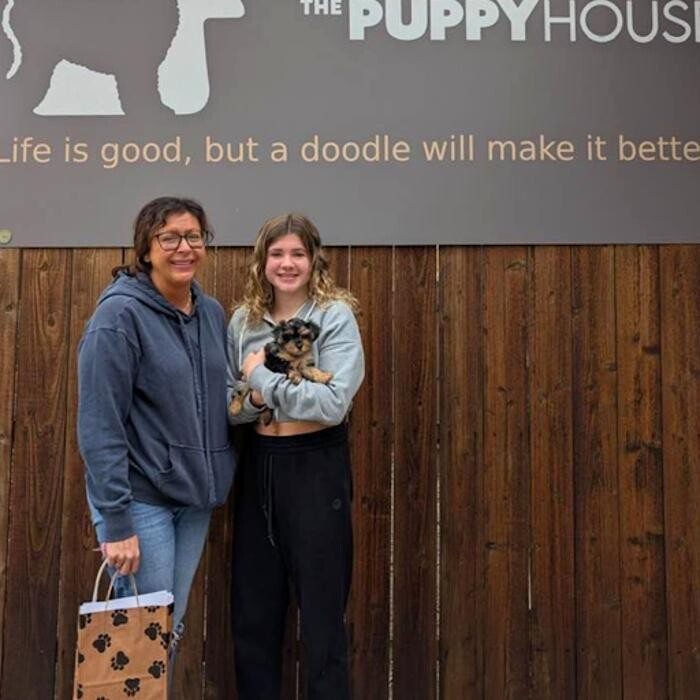 Images The Puppy House