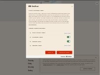 Website Screenshot Burger King