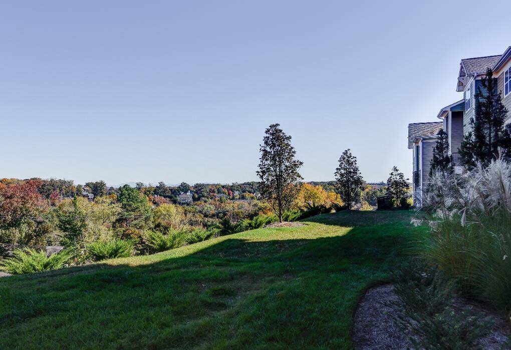 Images Wellsley Park Apartments