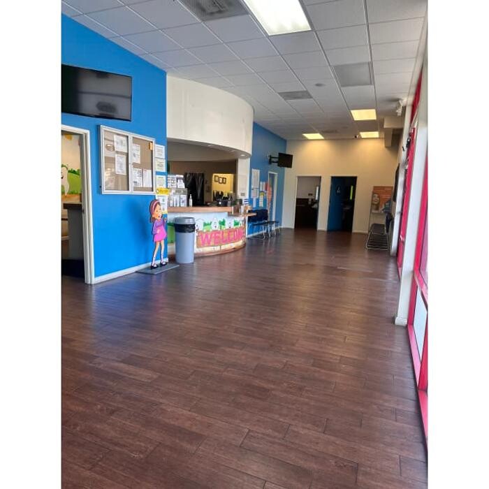 Images Western Dental & Orthodontics Kids