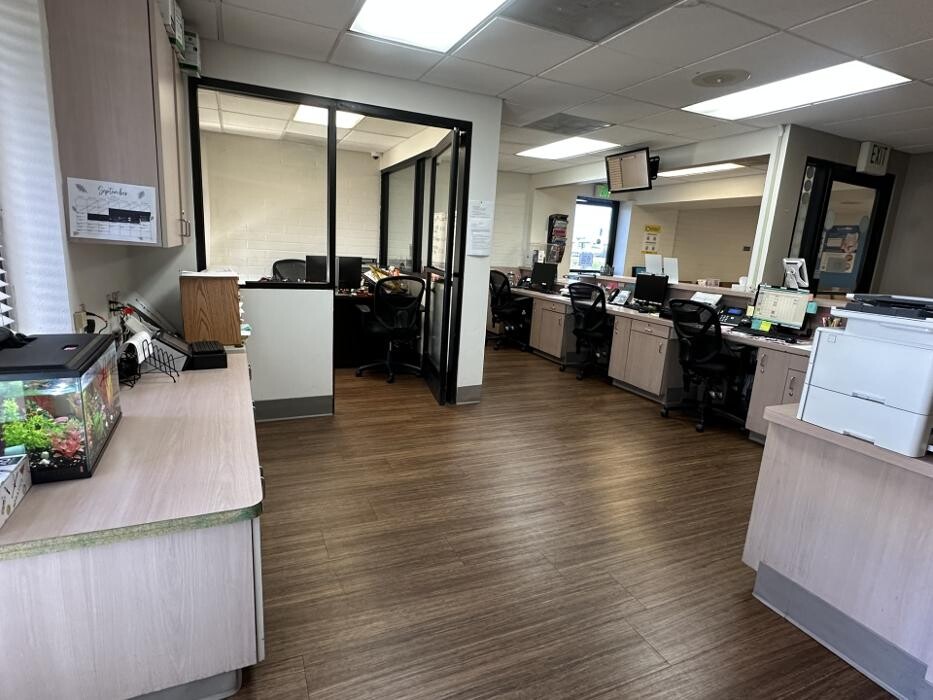 Images Western Dental & Orthodontics