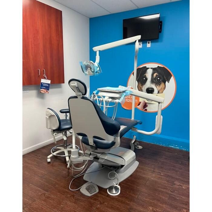 Images Western Dental & Orthodontics Kids