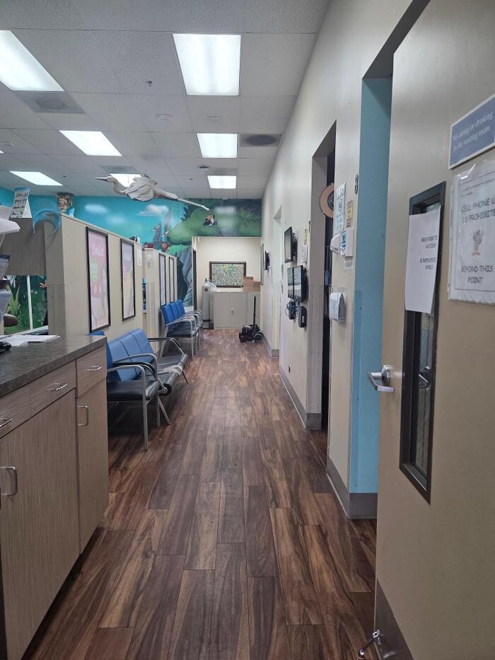 Images Western Dental & Orthodontics Kids