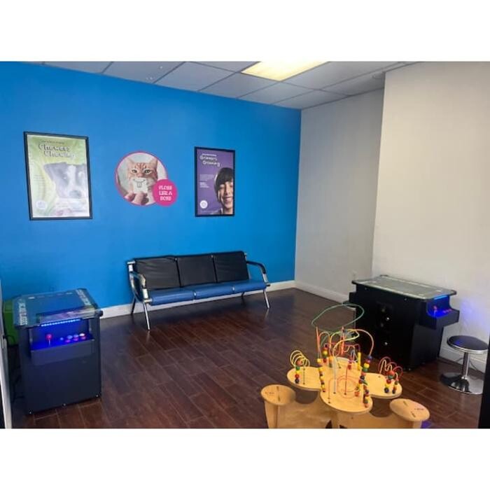 Images Western Dental & Orthodontics Kids
