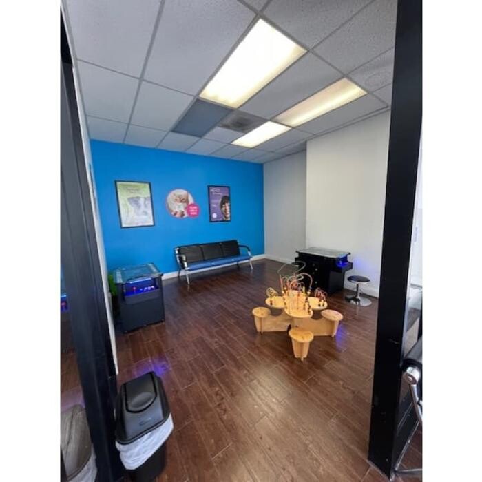 Images Western Dental & Orthodontics Kids