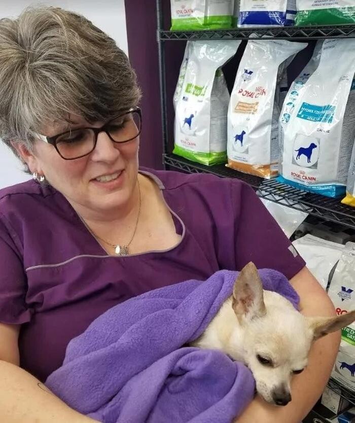Images Pawsitive Wellness Veterinary Care LLC