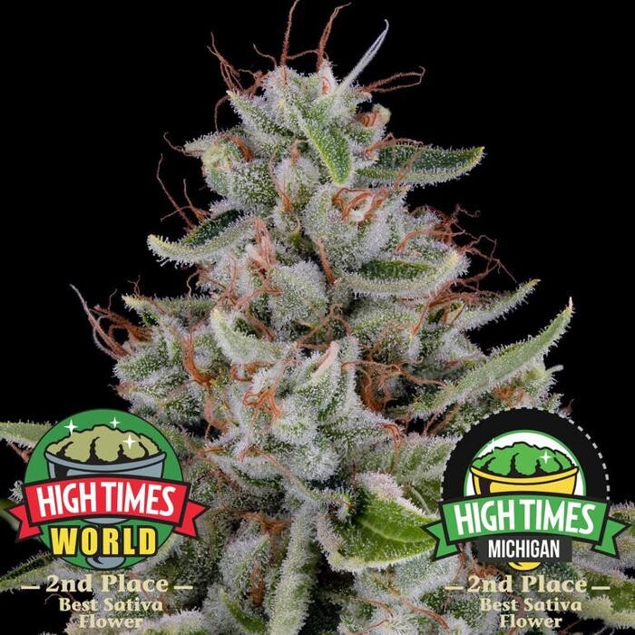 Images Catalyst Cannabis Dispensary Bellflower