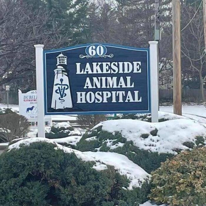 Images Lakeside Animal Hospital