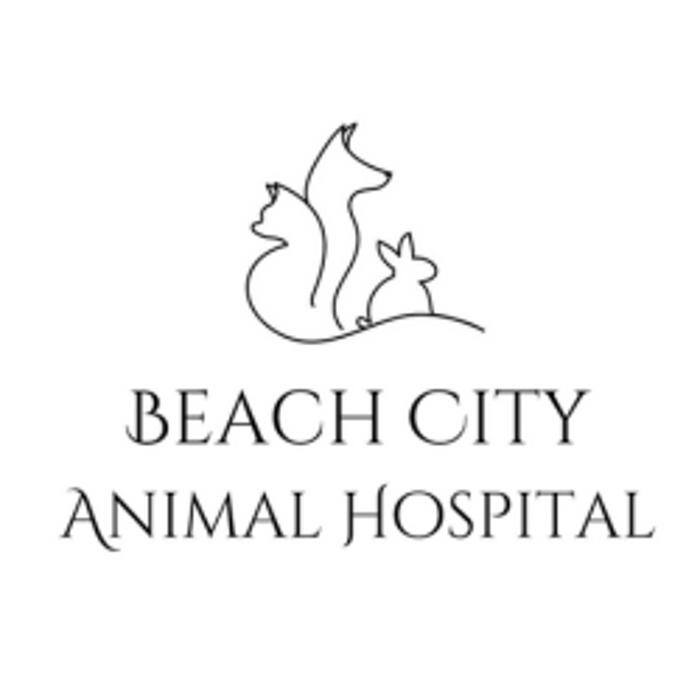 Beach City Animal Hospital Logo