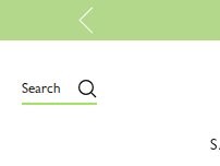 Website Screenshot Longchamp Washington DC