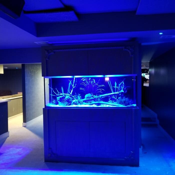 Images Aquarium Maintenance, LLC
