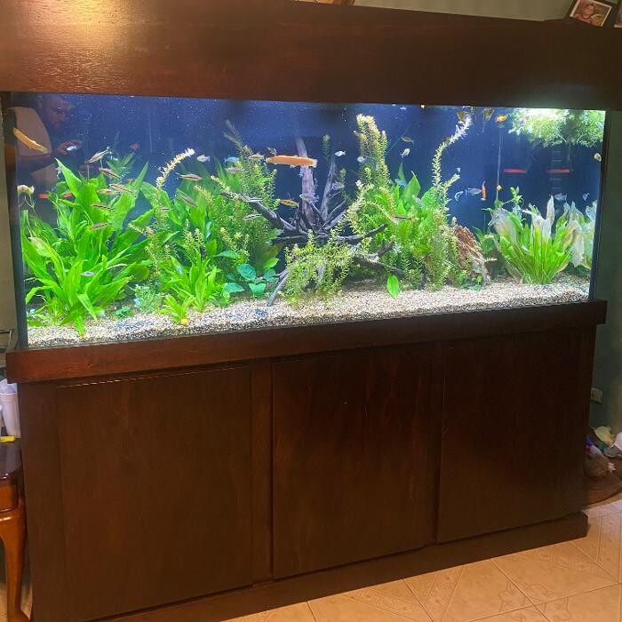 Images Aquarium Maintenance, LLC