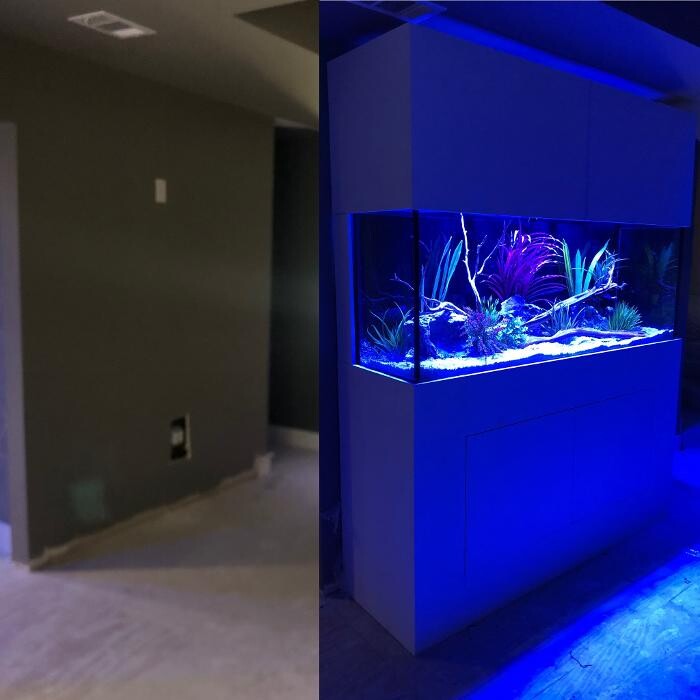 Images Aquarium Maintenance, LLC