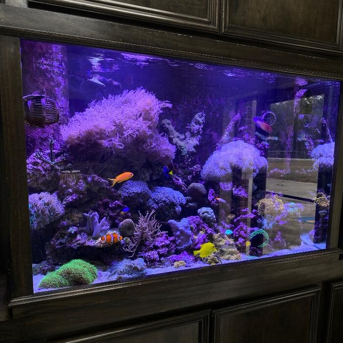 Images Aquarium Maintenance, LLC