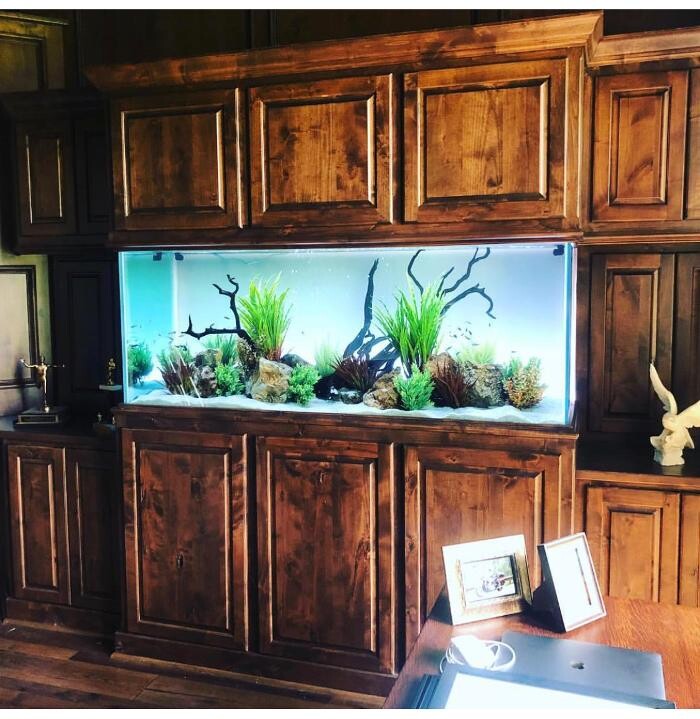 Images Aquarium Maintenance, LLC