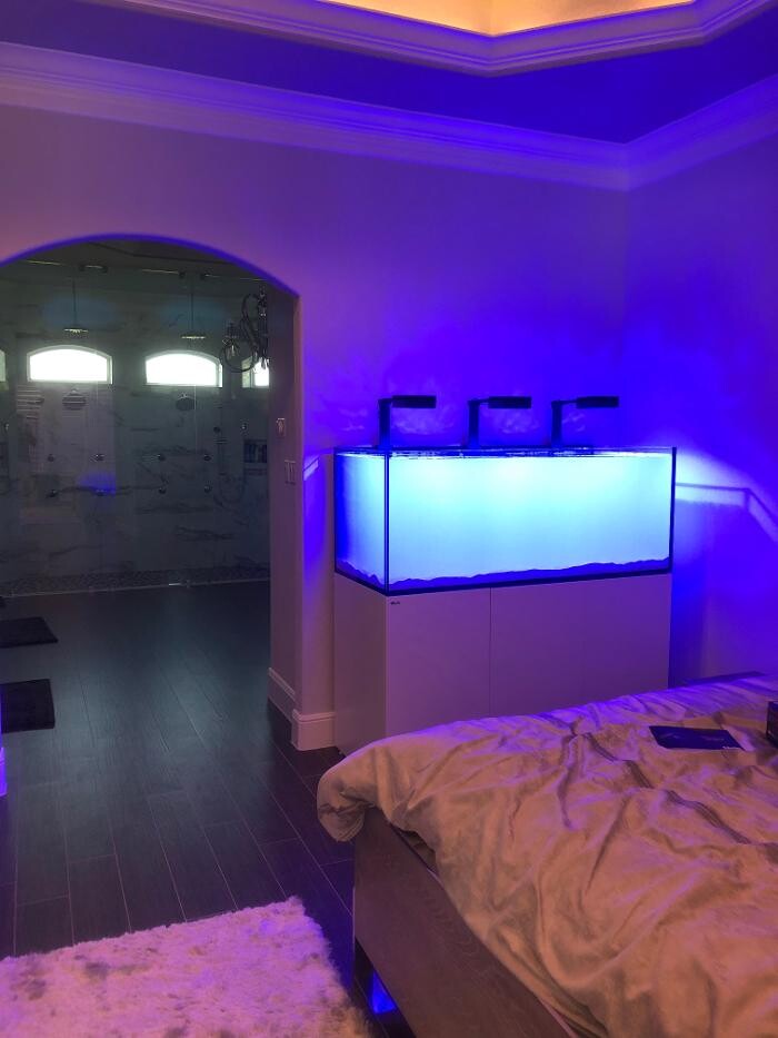 Images Aquarium Maintenance, LLC